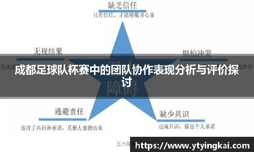 成都足球队杯赛中的团队协作表现分析与评价探讨